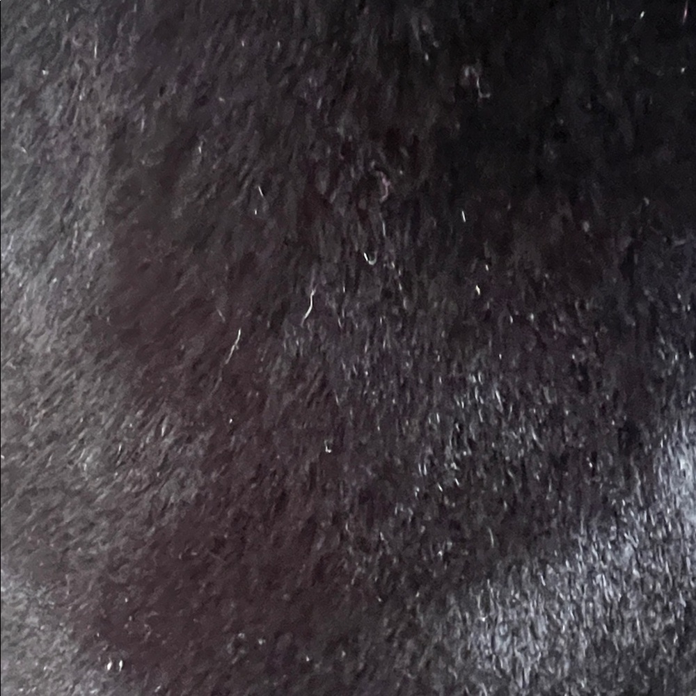 Elegant Black Faux Fur Tote Bag - Picture 2 of 6